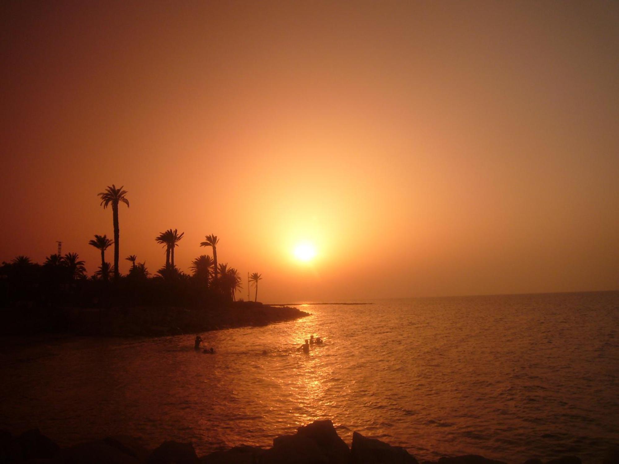 Hotel Les Palmiers Monastir Eksteriør bilde